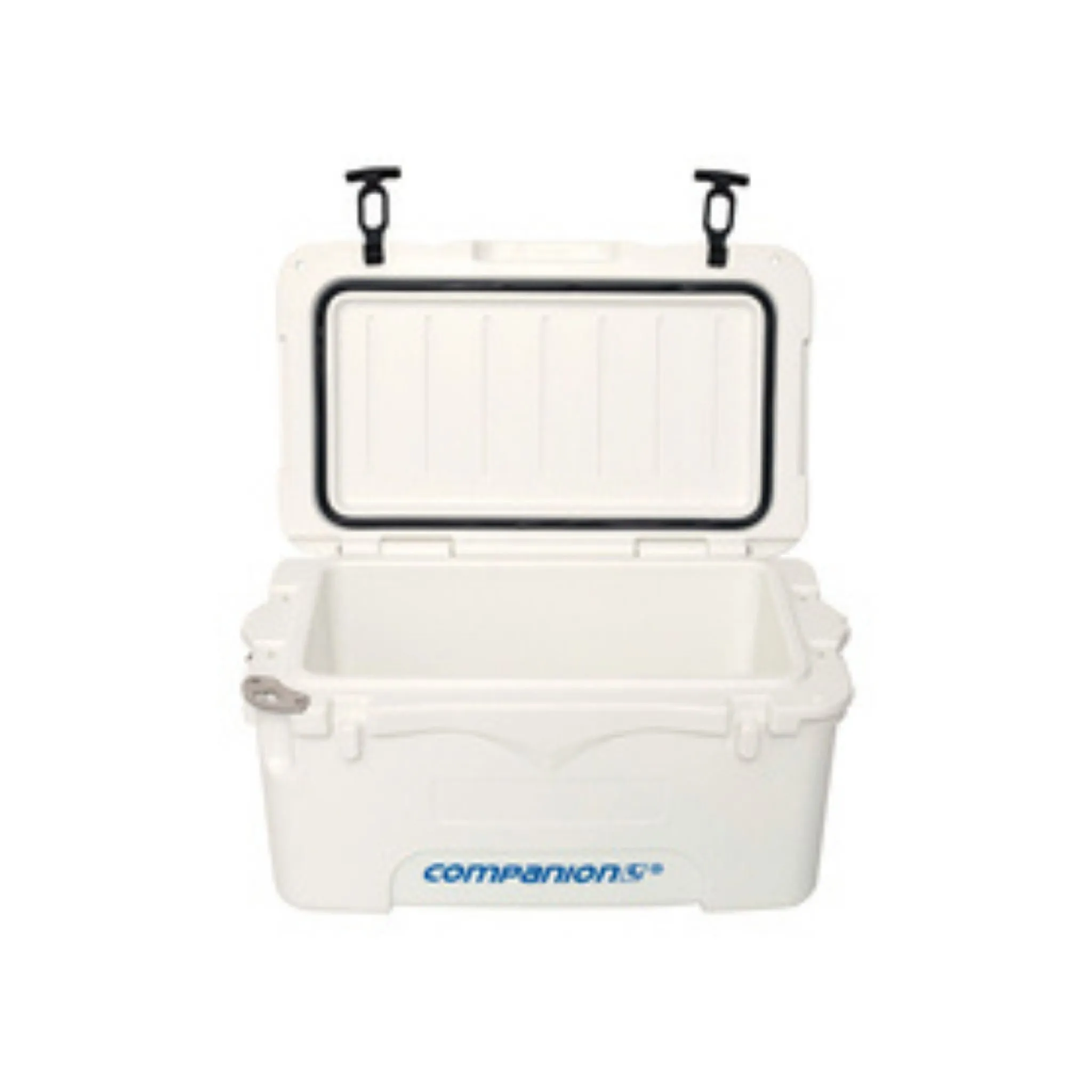 Companion Ice Box With Bail Handle 25L