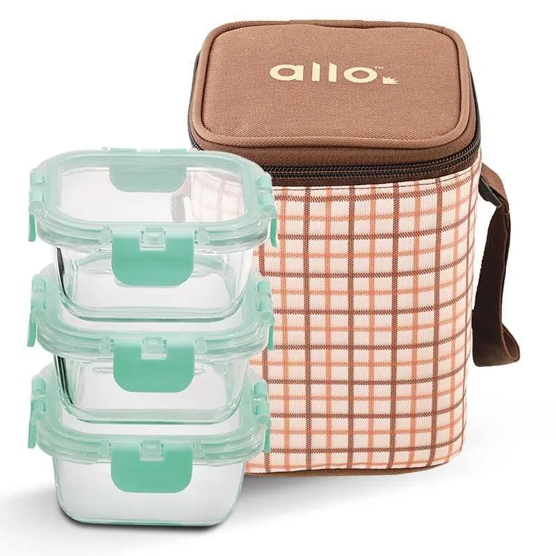 Jonas Lunchbox With Square Checks Bag (310 ML) - Set Of Three