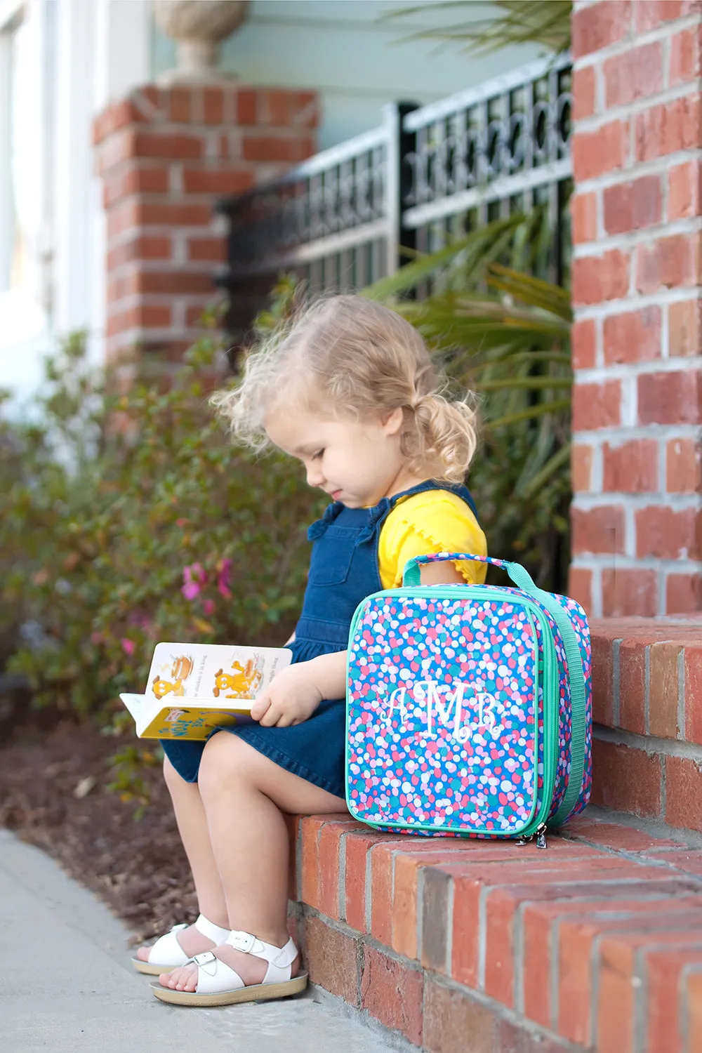 Lunch Boxes for Kids in Colors and Patterns