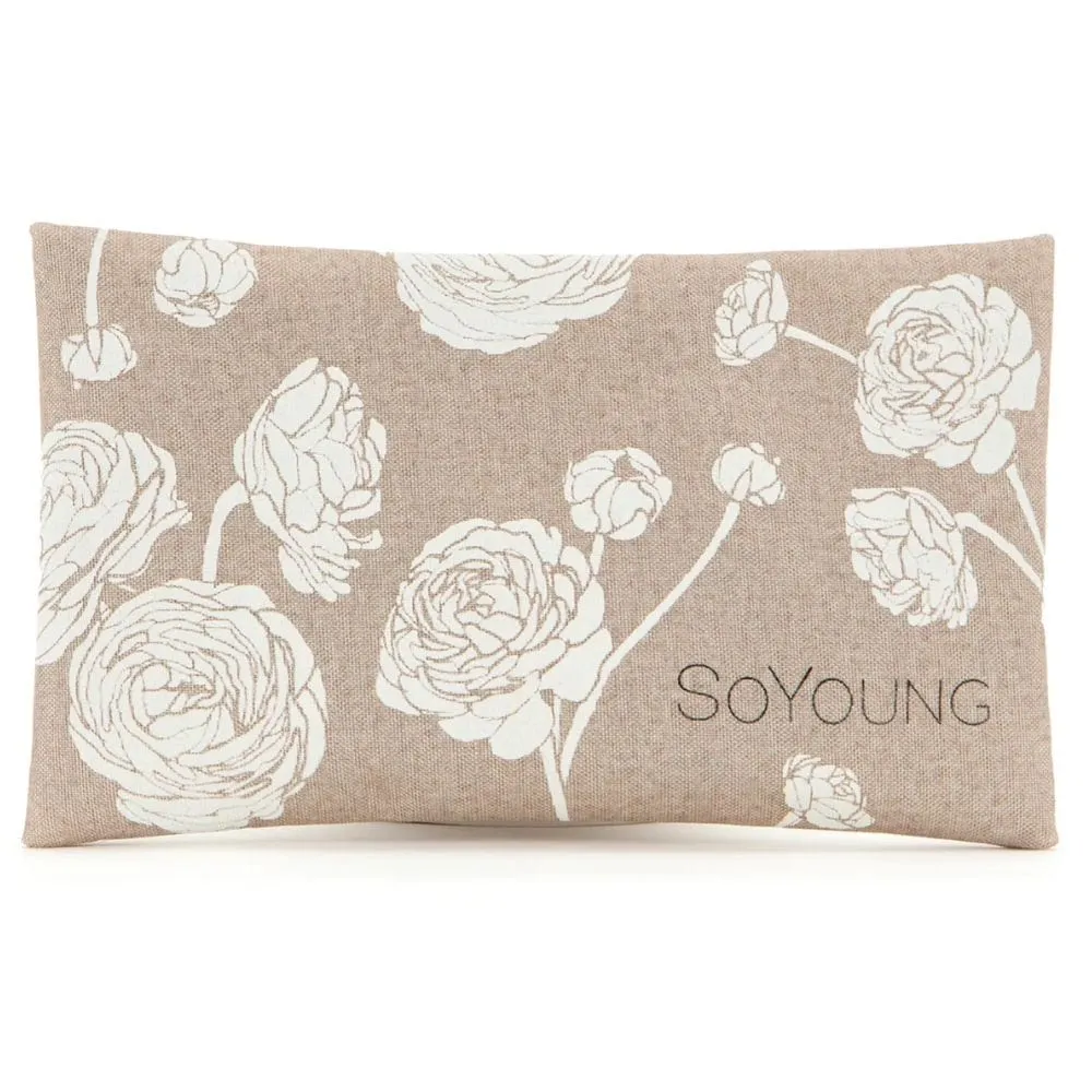 SoYoung No-Sweat Ice Pack for Lunch Boxes