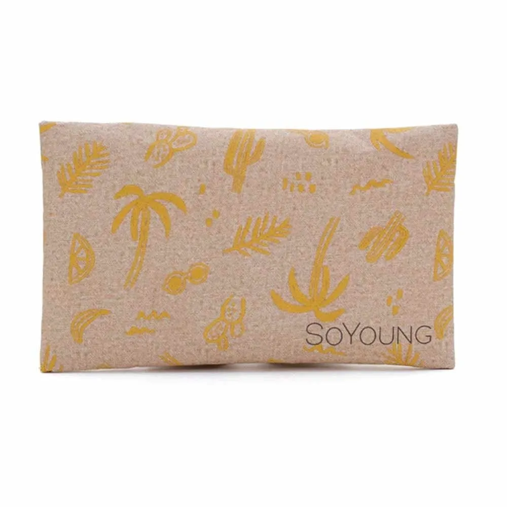 SoYoung No-Sweat Ice Pack for Lunch Boxes