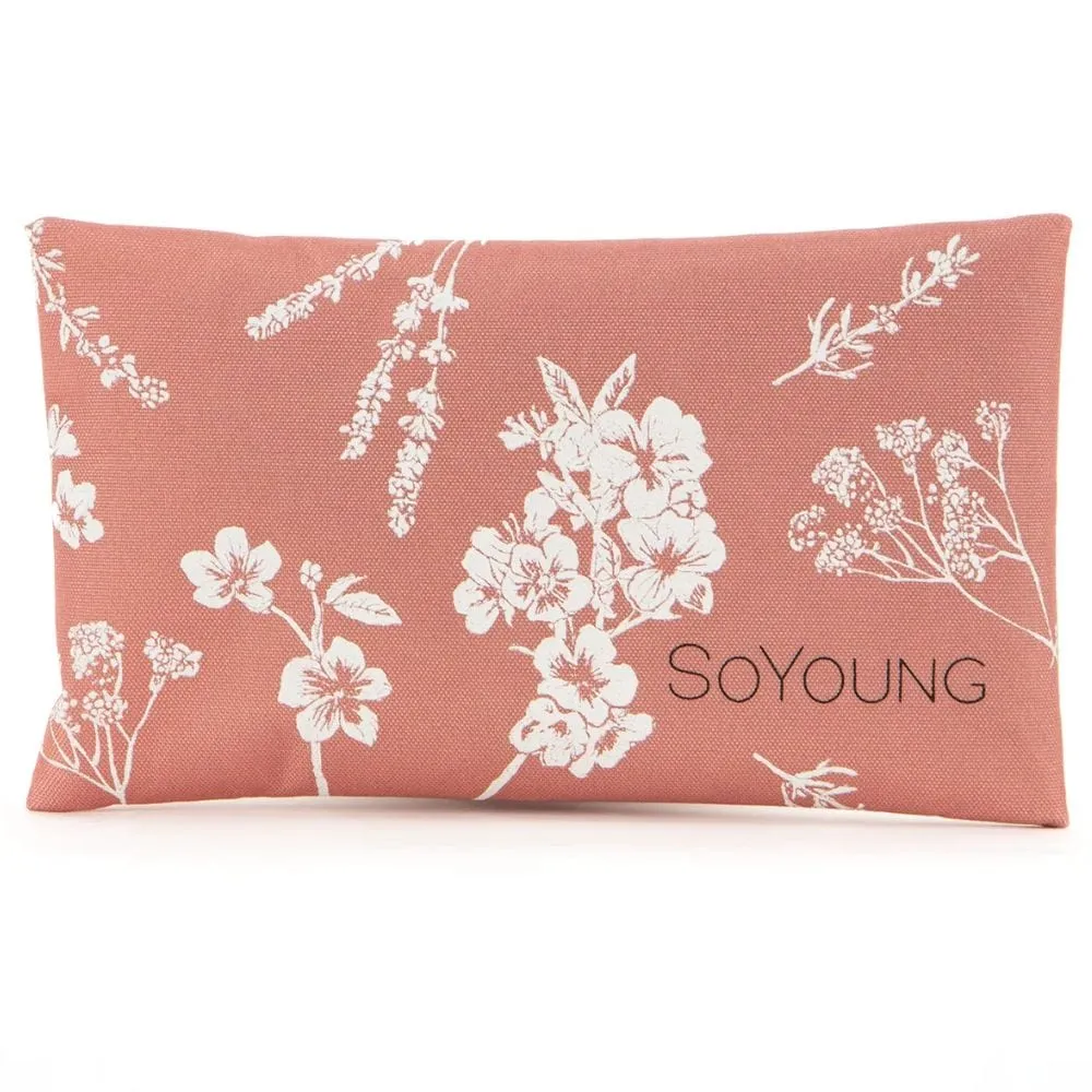 SoYoung No-Sweat Ice Pack for Lunch Boxes